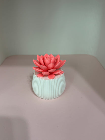 Succulent Pot