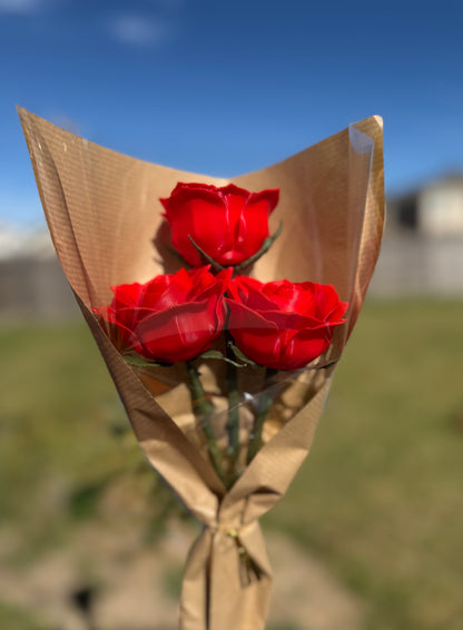 Forever Roses